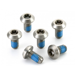 Ashima M5x10,5 Rotor titanbolter Torx25, 6 skruer