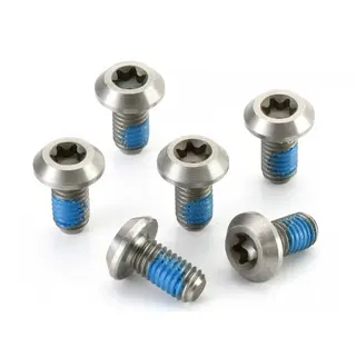 Ashima M5x10,5 Rotor titanbolter Torx25, 6 skruer