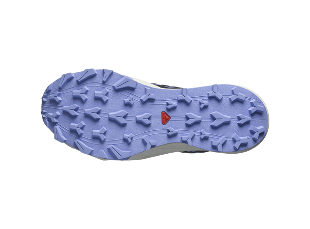 Salomon Thundercross GTX W Black/night/hydran, GoreTex 