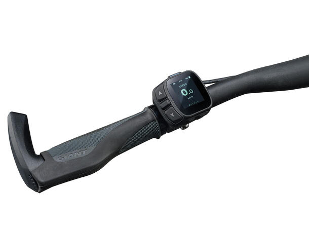 Giant Explore E+ LTD DD L Stealth Chome SyncDrive Sport2, 75 Nm, 625Wh, elsykkel 