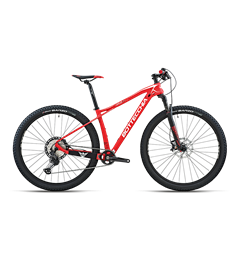 Bottecchia Ortles 297+ Rammeset Bygg din egen sykkel!